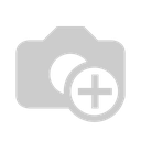 SAP(2).webp
